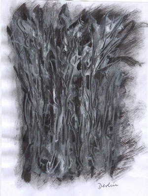 Buchunikate Sigrid Derlin