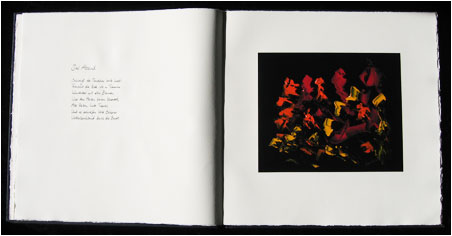 Buchunikate Sigrid Derlin