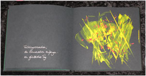 Buchunikate Sigrid Derlin